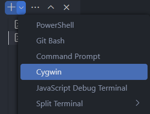 cygwin-option